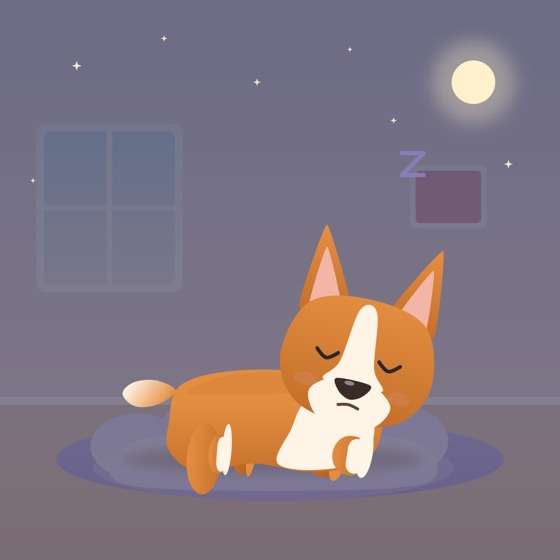 Corgi asleep on its bed at night with the moon outside